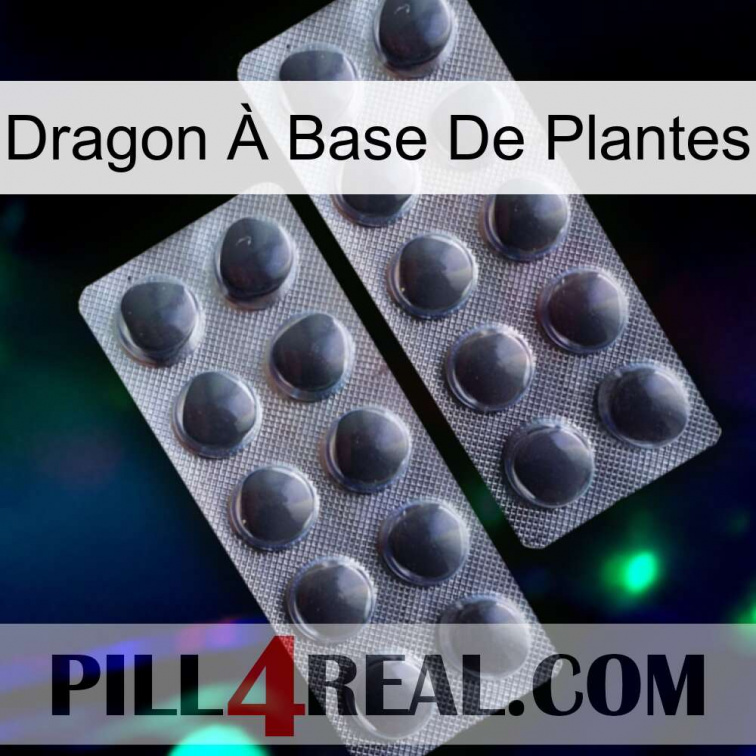 Dragon À Base De Plantes 31